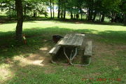 Photo: P24, Primitive East