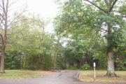 Photo: 031, Sites 10 - 43