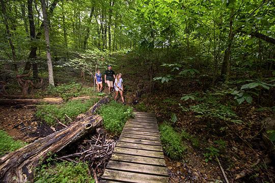 Campground Details - BARREN RIVER LAKE STATE RESORT PARK, KY - Kentucky ...